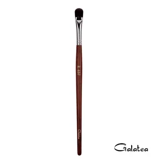 圓眼影刷 531 林三益x王盈喬老師推薦 歷史價格詳細信息