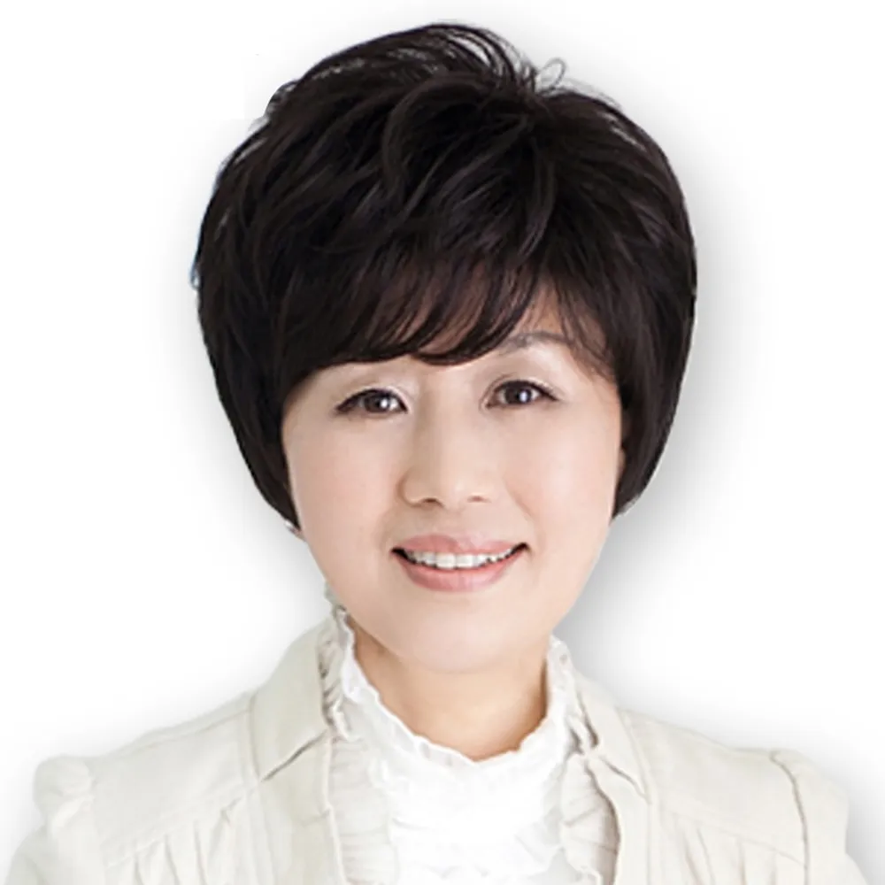 女假髮整頂真髮絲-微捲短髮大方優雅美髮用品2色73vc23【巴黎精品】 歷史價格詳細信息