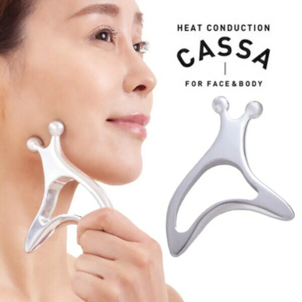 alphax 日本進口 便利清潔棒 二入 AP-0212 歷史價格詳細信息