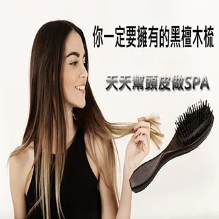 黑檀木氣墊梳大號檀木彩繪梳子女士專用直髮捲發按摩梳美發梳 歷史價格詳細信息