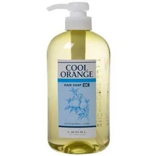 LebeL 冷橘去角質凝膠 (冰涼) 240g 歷史價格詳細信息