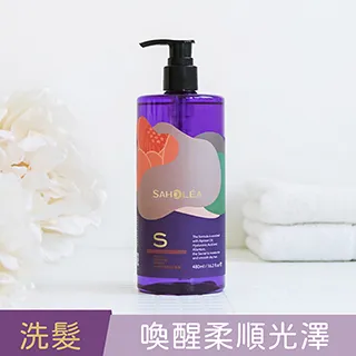 【SAHOLEA 森歐黎漾】極水漾保濕柔順兩洗一護組 歷史價格詳細信息