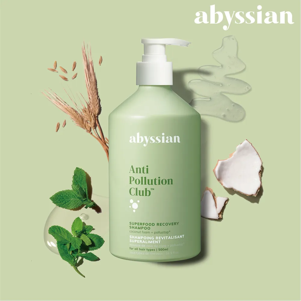 【Abyssian】雅蓓絲 所羅門油絲滑順髮液(250ml) 歷史價格詳細信息