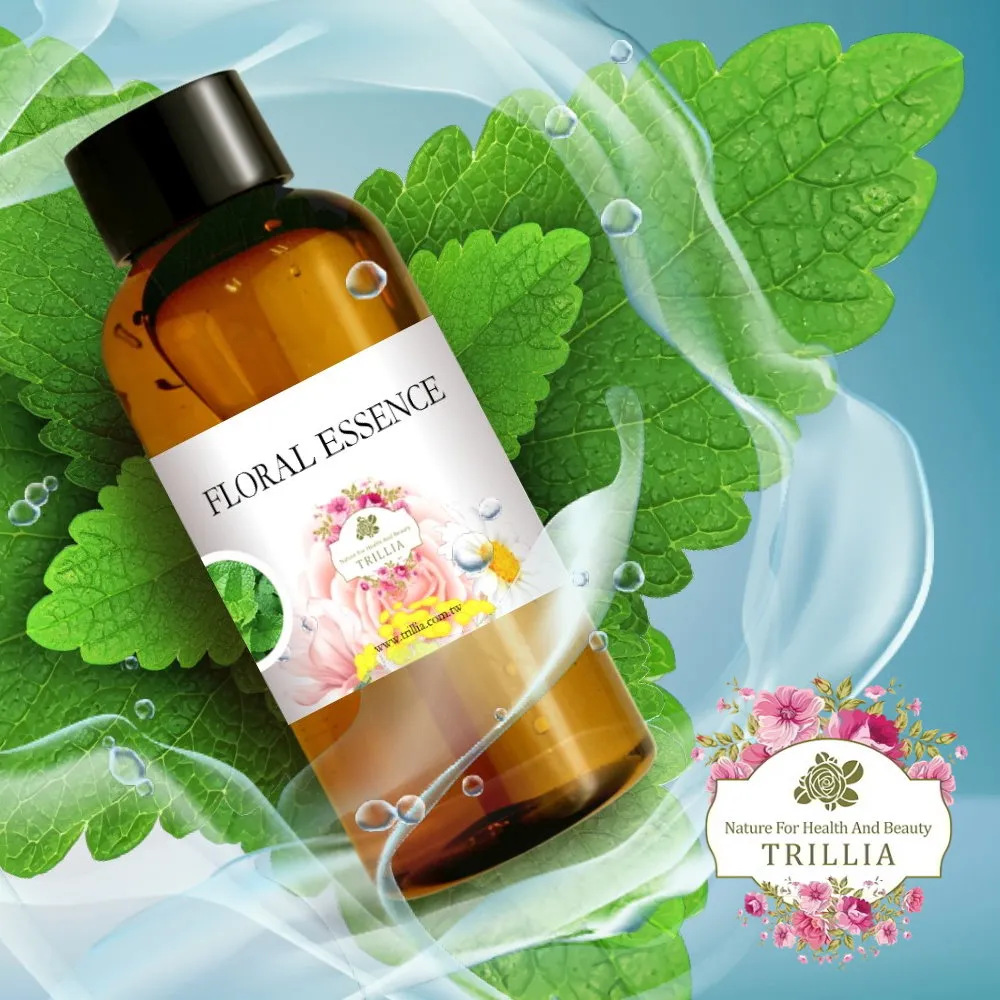【Trillia】薄荷純露-300ml 歷史價格詳細信息