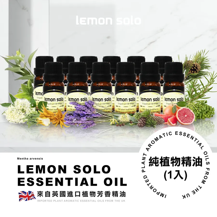 LEMON 重工幾何冷淡風耳環小眾設計高級碎銀子耳飾獨特時尚圈圈女 歷史價格詳細信息