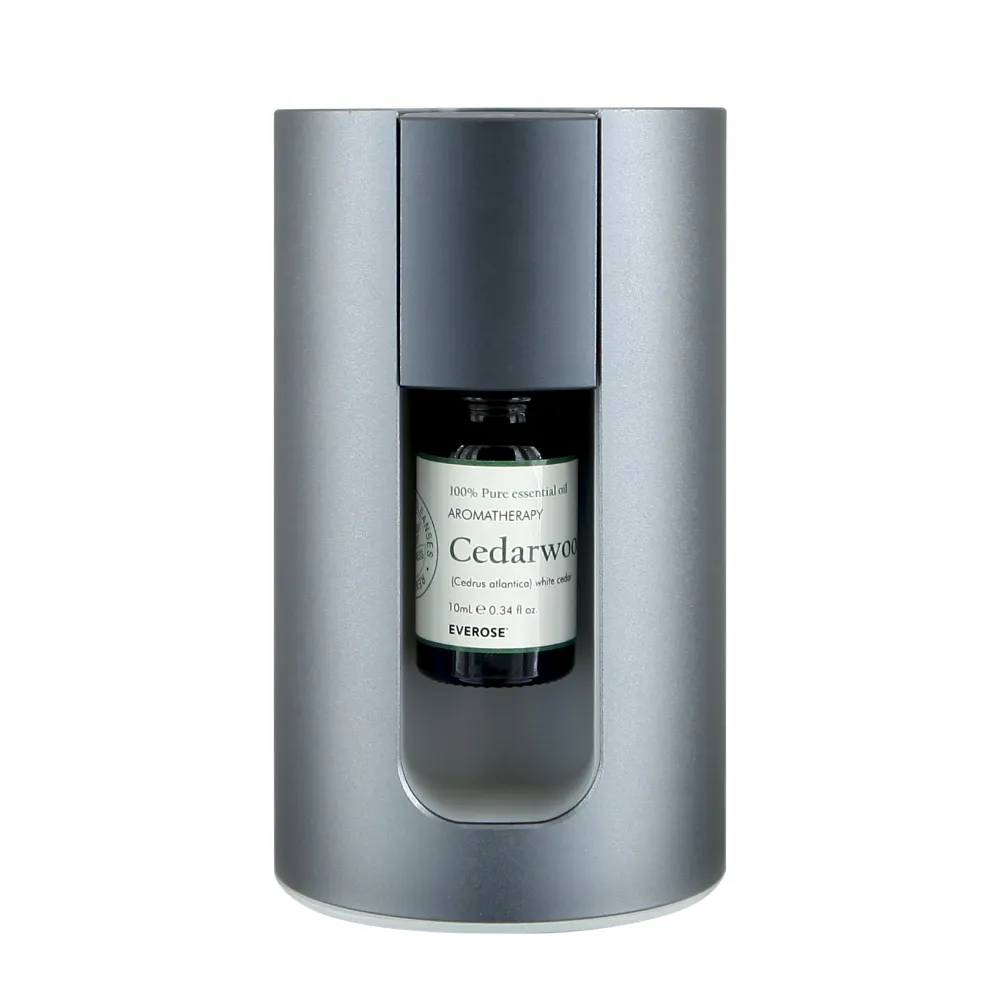 【Everose愛芙蓉】芳香祕笈 磁吸式精油冷香儀 白 歷史價格詳細信息