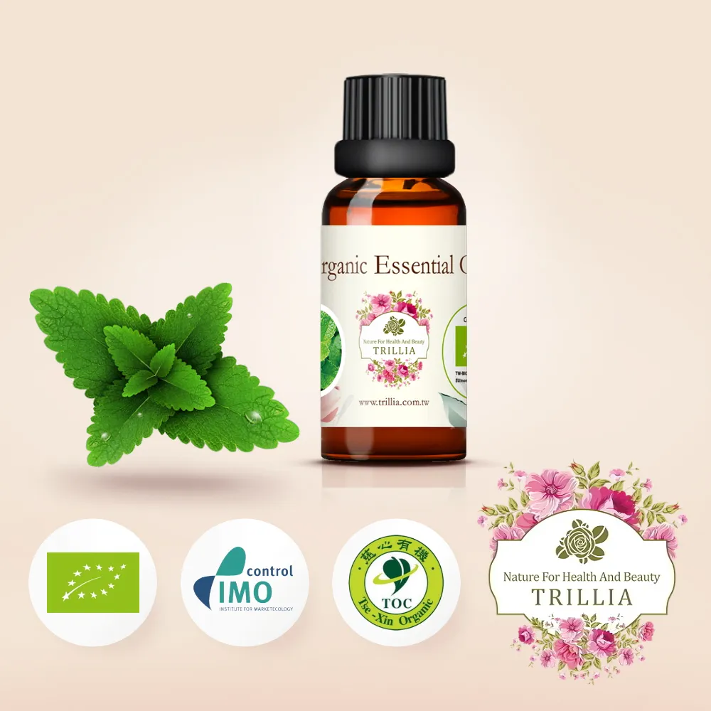 NAFFY NAIL俏麗美甲片-狂野風豹【佳瑪】 歷史價格詳細信息