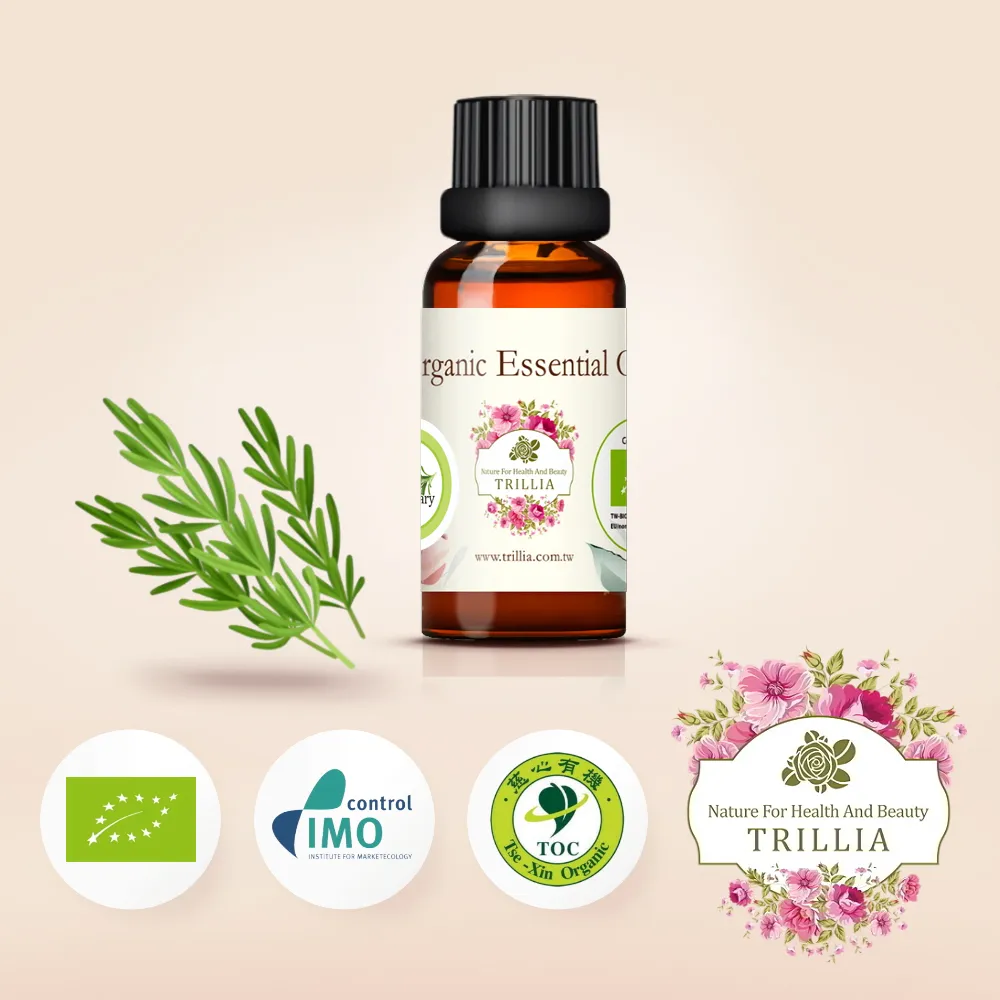 NAFFY NAIL俏麗美甲片-狂野風豹【佳瑪】 歷史價格詳細信息