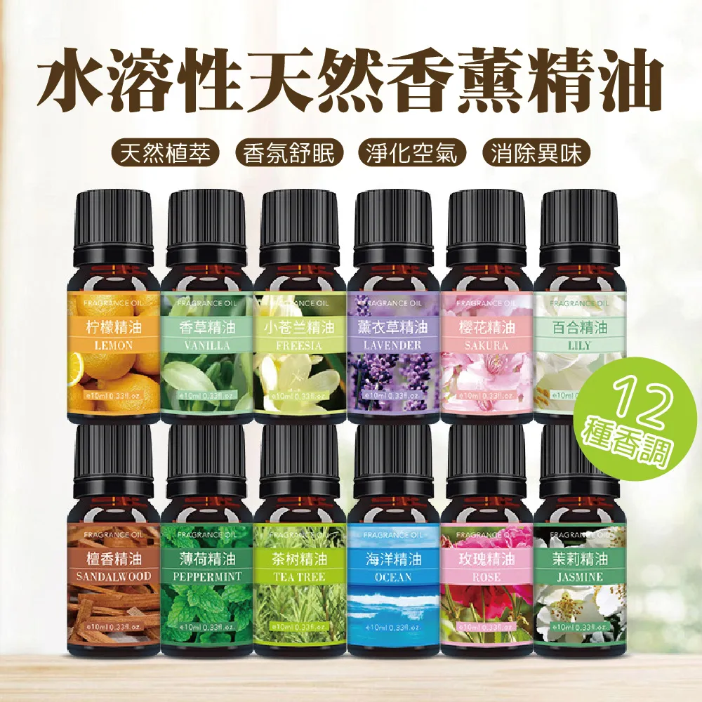 10mL Holy Water Pope Francis Vial Font Blessed by Pope Authentic Hand Made 歷史價格詳細信息