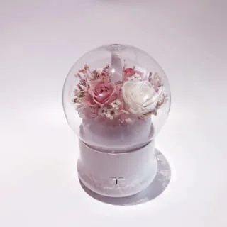 永生花薰香機 水氧機 小夜燈功能（2色可挑）加濕器 精油香薰機 薰香器 情人節禮物 開店禮物 生日禮物 實用禮物 歷史價格詳細信息
