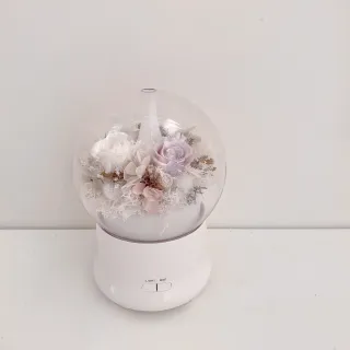 永生花薰香機 水氧機 小夜燈功能（2色可挑）加濕器 精油香薰機 薰香器 情人節禮物 開店禮物 生日禮物 實用禮物 歷史價格詳細信息