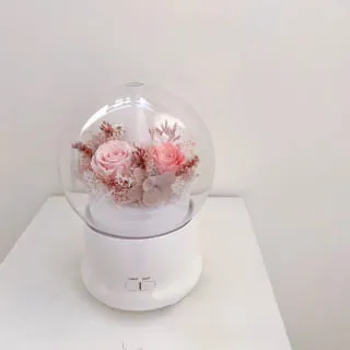 永生花薰香機 水氧機 小夜燈功能（2色可挑）加濕器 精油香薰機 薰香器 情人節禮物 開店禮物 生日禮物 實用禮物 歷史價格詳細信息