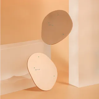 DAILY LAB｜山中四季天然 擴香石 歷史價格詳細信息