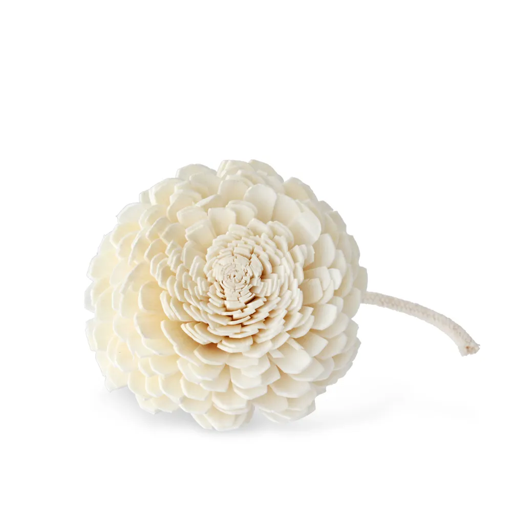 OPretty 歐沛媞 永恆玫瑰花禮盒(8X8X10cm) 歷史價格詳細信息