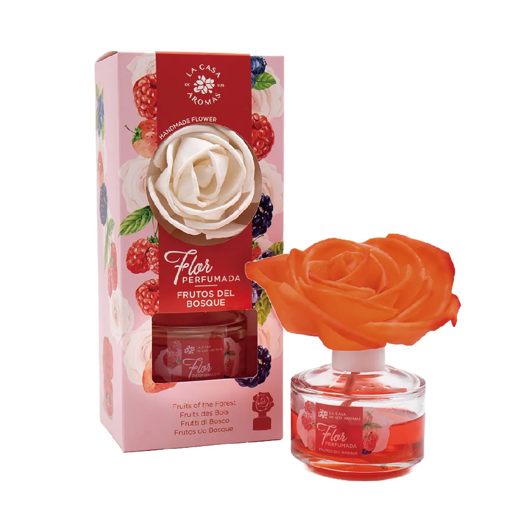 舞之戀帆布舞之星中芭舞蹈練功鞋成人瑜伽女爪鞋芭蕾舞蹈兩底鞋 歷史價格詳細信息