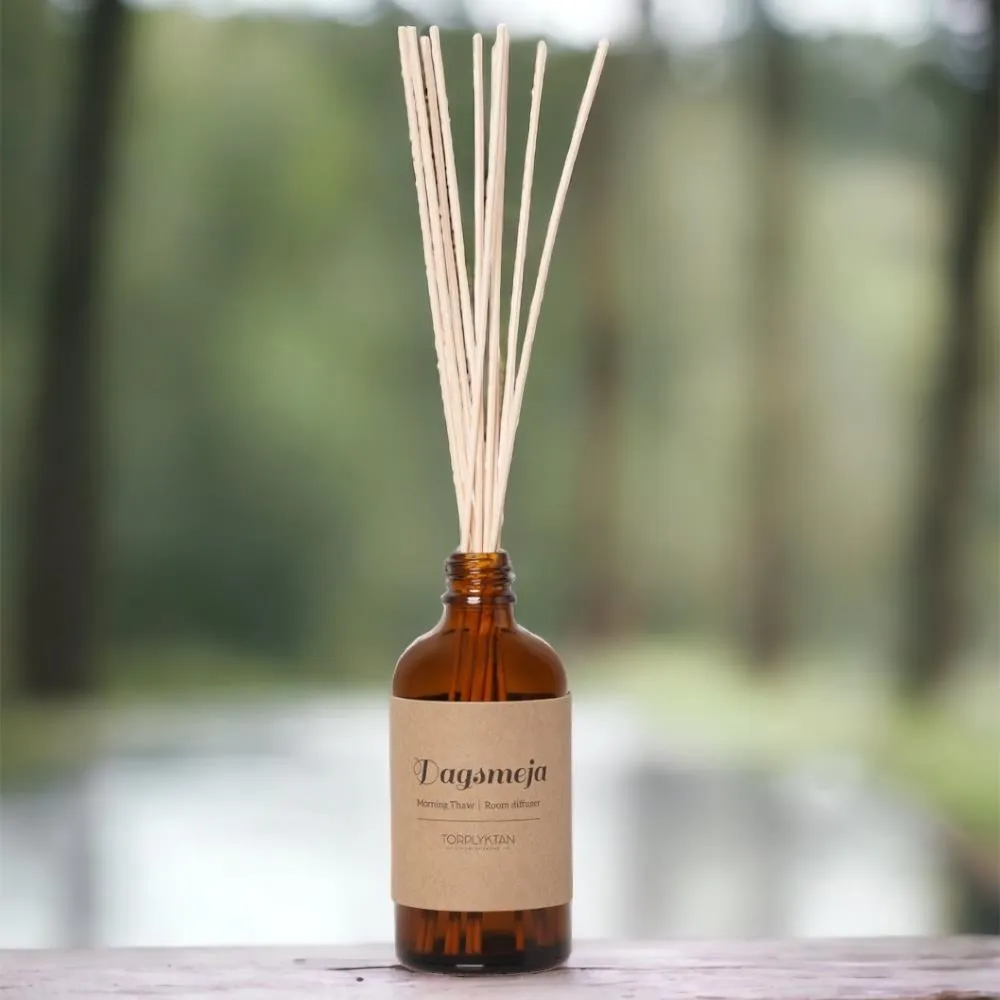 【瑞典 Torplyktan】北歐四季蠟燭160ml-仲夏之美 歷史價格詳細信息