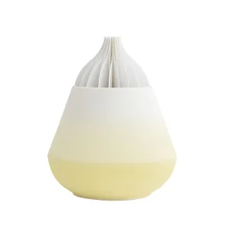 【WUZ屋子】TOAST BOTANICA擴香枝組A 歷史價格詳細信息