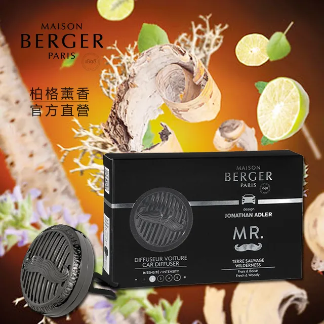 法國柏格薰香(1香氛夾+1陶片)海洋微風車用香氛 歷史價格詳細信息