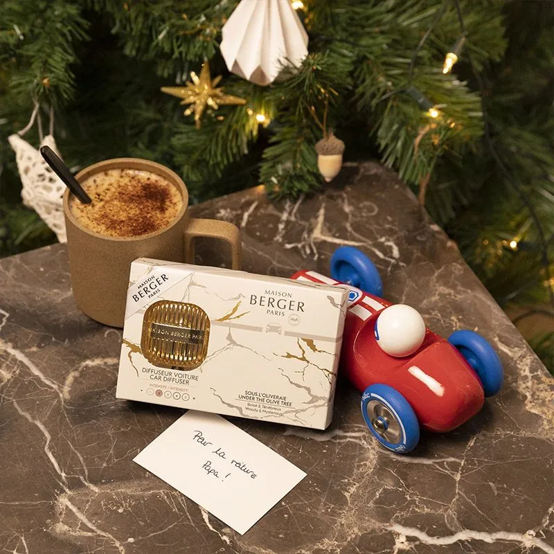 法國柏格薰香(1香氛夾+1陶片)海洋微風車用香氛 歷史價格詳細信息