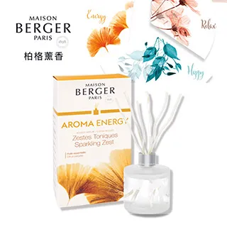 法國 藤面 實木刷色 雕刻 扶手椅 (已更換全新布面) 歐洲古董老件  ch0977【卡卡頌  歐洲古董】 歷史價格詳細信息