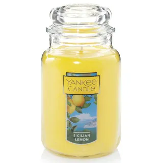 YANKEE CANDLE_香氛蠟燭623g 歷史價格詳細信息