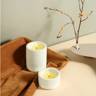 Daily Lab 小羊皮系列車載香氛膠囊替換裝(2片裝) 歷史價格詳細信息