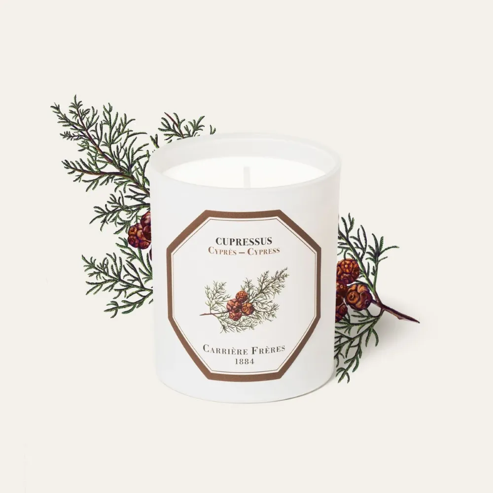 【Carriere Freres】風鈴草 MUGUET 法國大師級香氛蠟燭 185g 歷史價格詳細信息