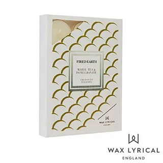 【白茶】國之白茶試喝裝2019年壽眉福鼎老白茶餅干茶小方片茶葉盒裝送禮茶葉  可開發票 歷史價格詳細信息