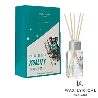 英國熊 內膽304雙層疊疊飯盒餐具組+保溫保冷袋(UP-D70+CI-3042+1030TS)(超值組合價) 歷史價格詳細信息