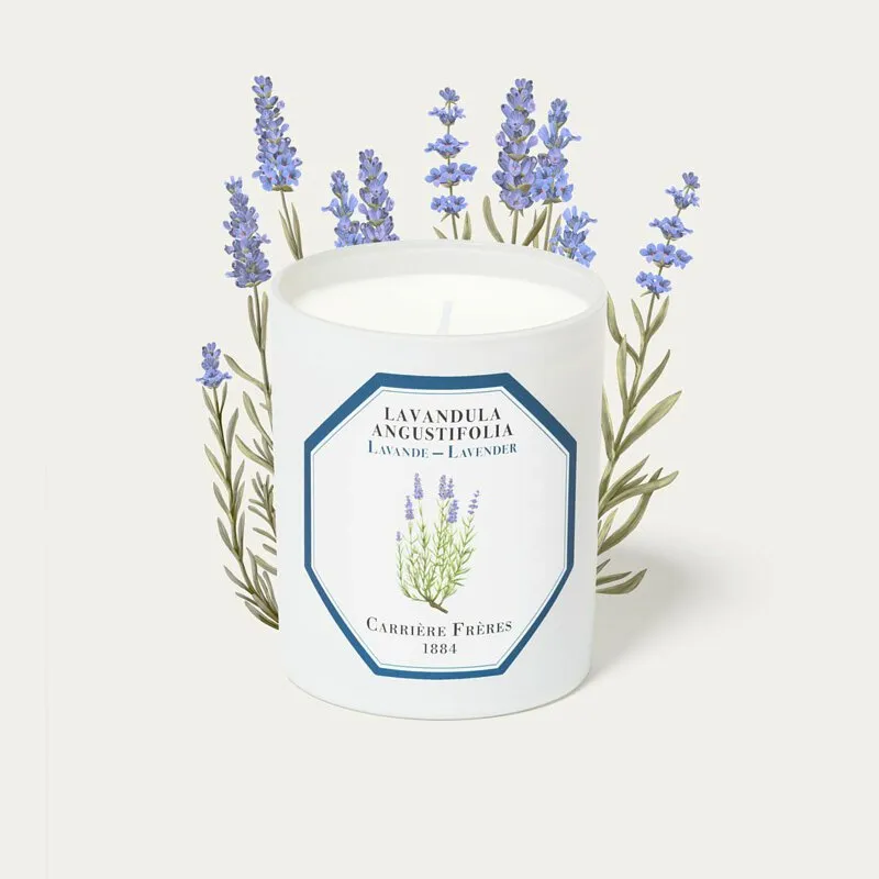 法國 Carrière Frères 蕃茄 Tomato 190ML 天然精油擴香 歷史價格詳細信息