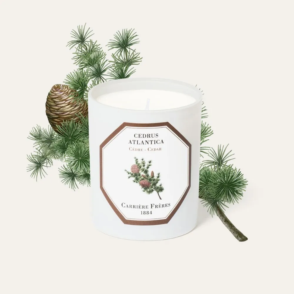 法國 Carrière Frères 蕃茄 Tomato 190ML 天然精油擴香 歷史價格詳細信息