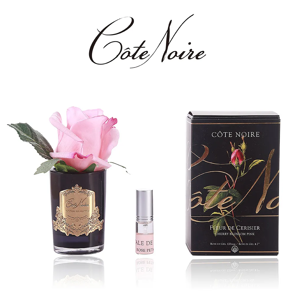 【法國 Cote Noire 寇特蘭】法式粉紅玫瑰香氛禮盒組 歷史價格詳細信息