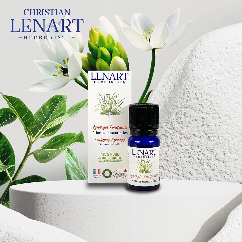 Lennart Green 格林專用 撲克牌 GEMACO製 歷史價格詳細信息