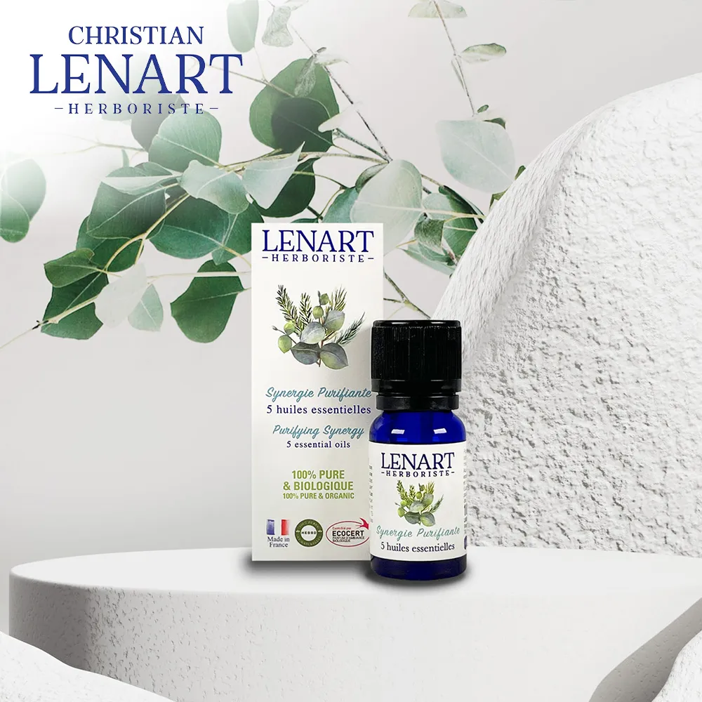 Lennart Green 格林專用 撲克牌 GEMACO製 歷史價格詳細信息