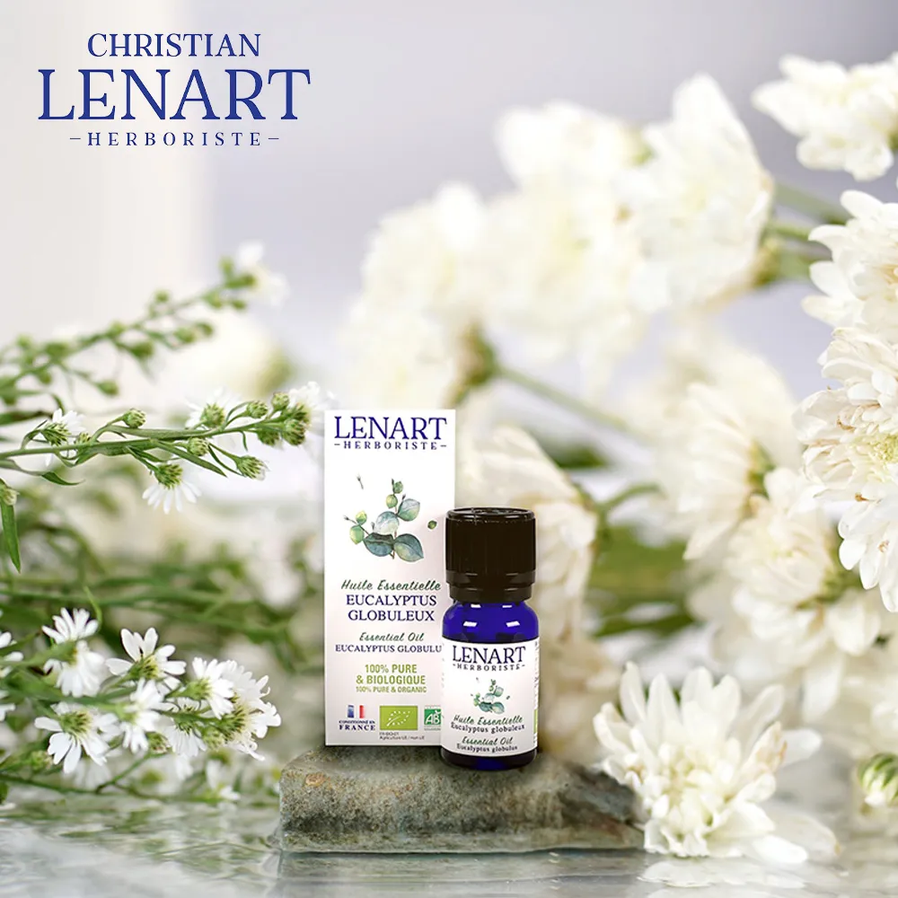 Lennart Green 格林專用 撲克牌 GEMACO製 歷史價格詳細信息