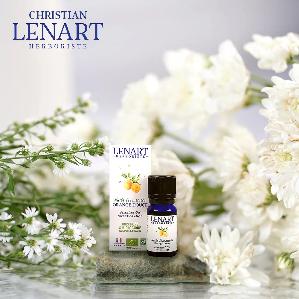 Lennart Green 格林專用 撲克牌 GEMACO製 歷史價格詳細信息