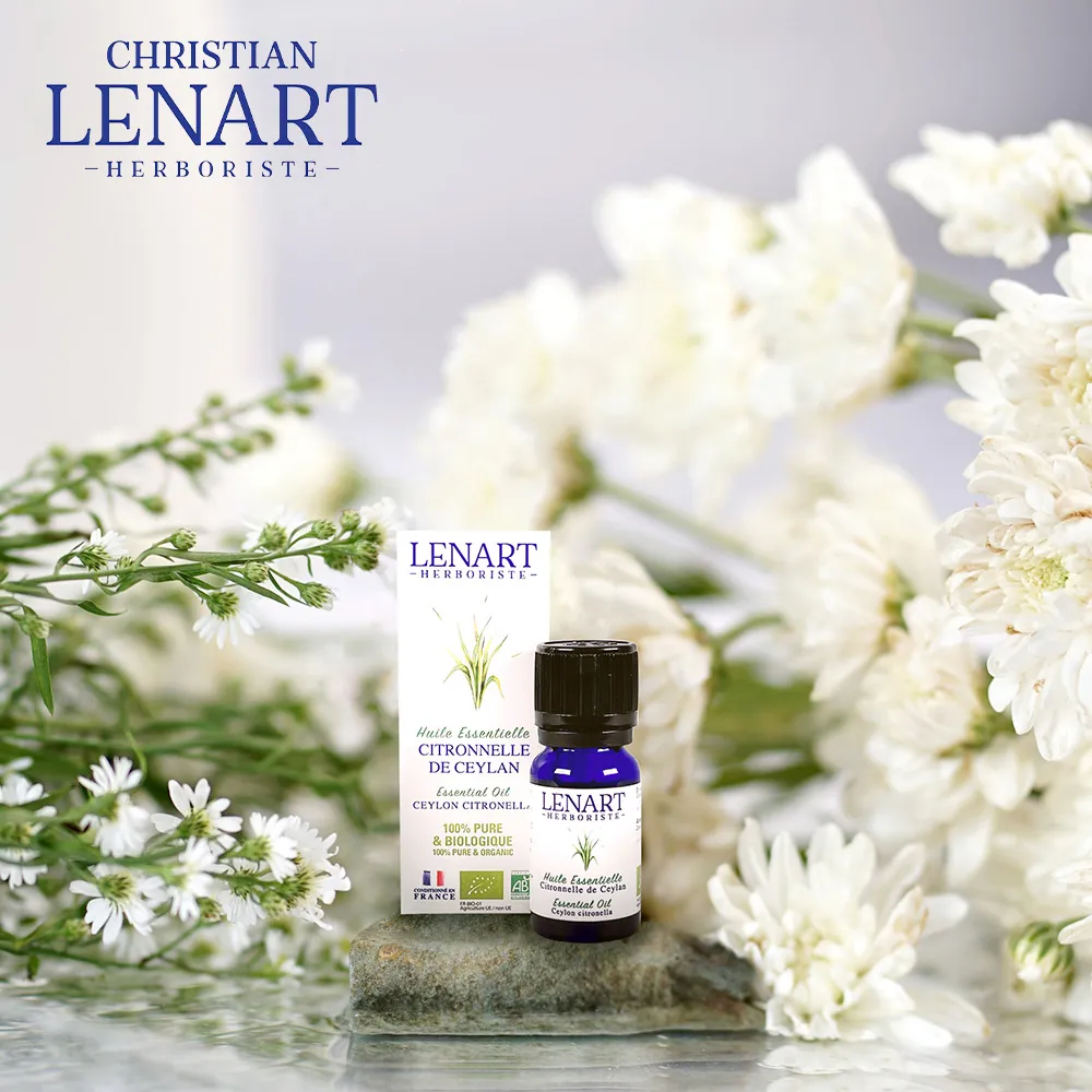 Lennart Green 格林專用 撲克牌 GEMACO製 歷史價格詳細信息