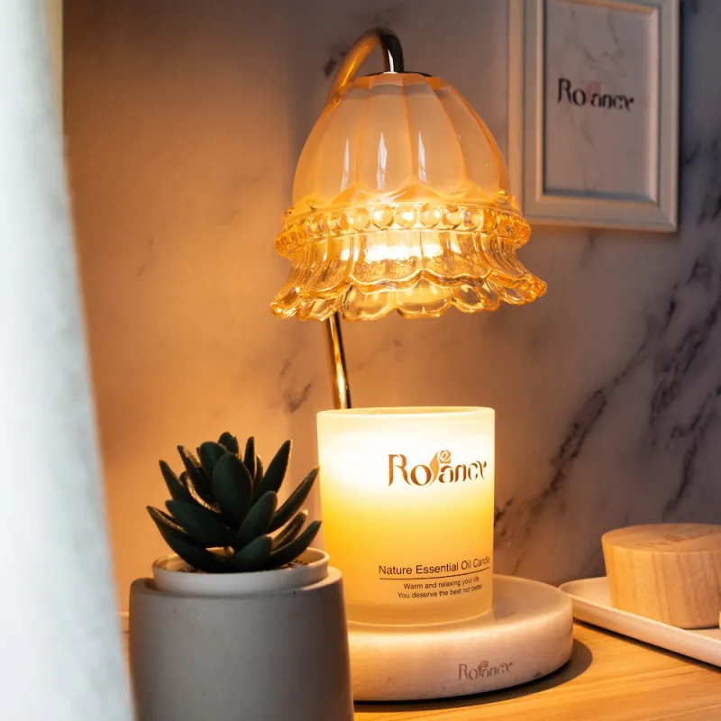 【Rofancy 洛帆晞】仿木定時款融蠟燈-玻璃公主-奶茶色+180g香氛蠟燭組合 歷史價格詳細信息