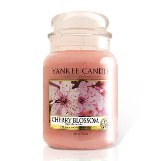 YANKEE CANDLE香氛蠟燭禮袋組[婚禮的祝福104g+心形蠟燭托盤] 歷史價格詳細信息