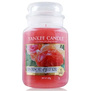 YANKEE CANDLE香氛蠟燭禮袋組[婚禮的祝福104g+心形蠟燭托盤] 歷史價格詳細信息