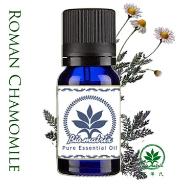 CHAMOMILE REVIVAL REVIVE CD專輯 二手 B40 歷史價格詳細信息