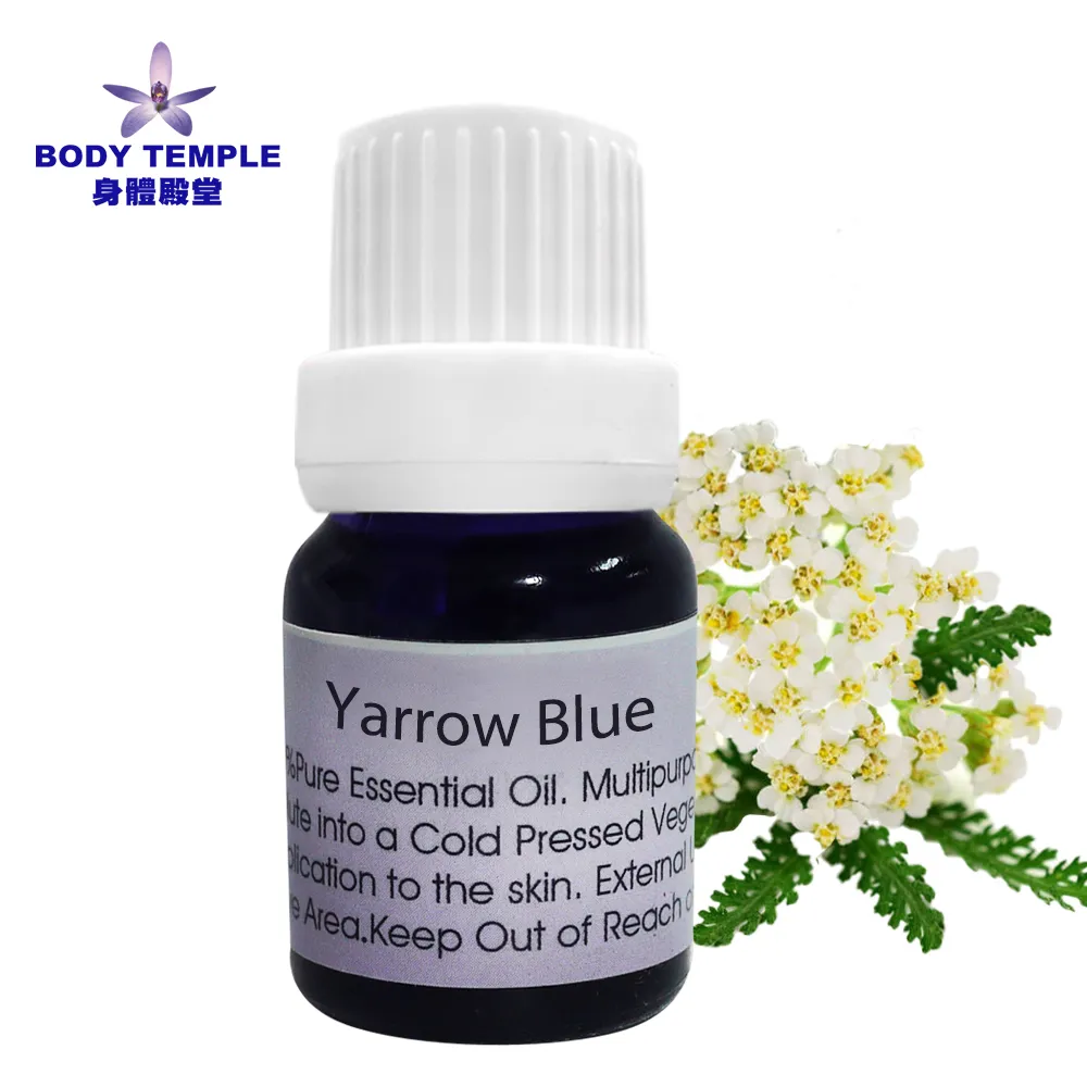 BODY BLUE 女無痕內褲五入組(韓國品牌) C591387  COSCO代購 歷史價格詳細信息