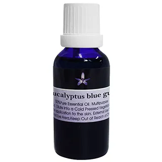 BODY BLUE 女無痕內褲五入組(韓國品牌) C591387  COSCO代購 歷史價格詳細信息
