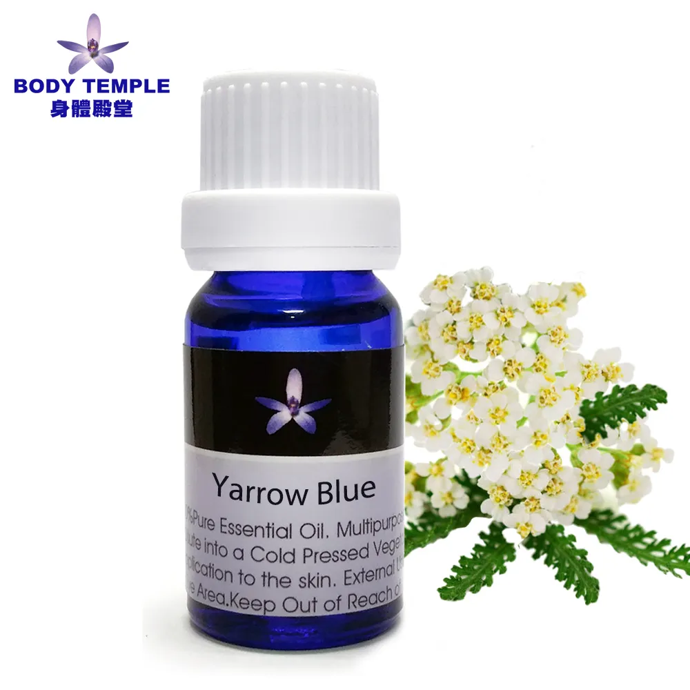 BODY BLUE 女無痕內褲五入組(韓國品牌) C591387  COSCO代購 歷史價格詳細信息