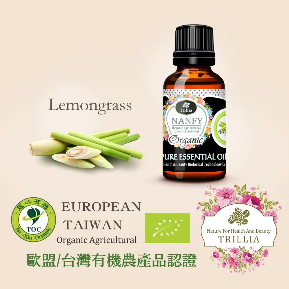 NAFFY NAIL俏麗美甲片-狂野風豹【佳瑪】 歷史價格詳細信息