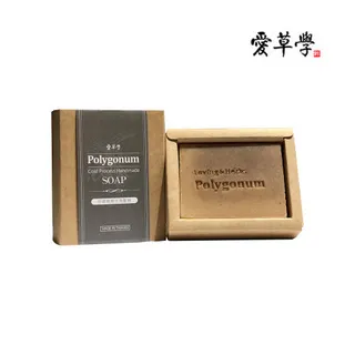 愛草學 何首烏男士洗髮皂100g*2入 歷史價格詳細信息