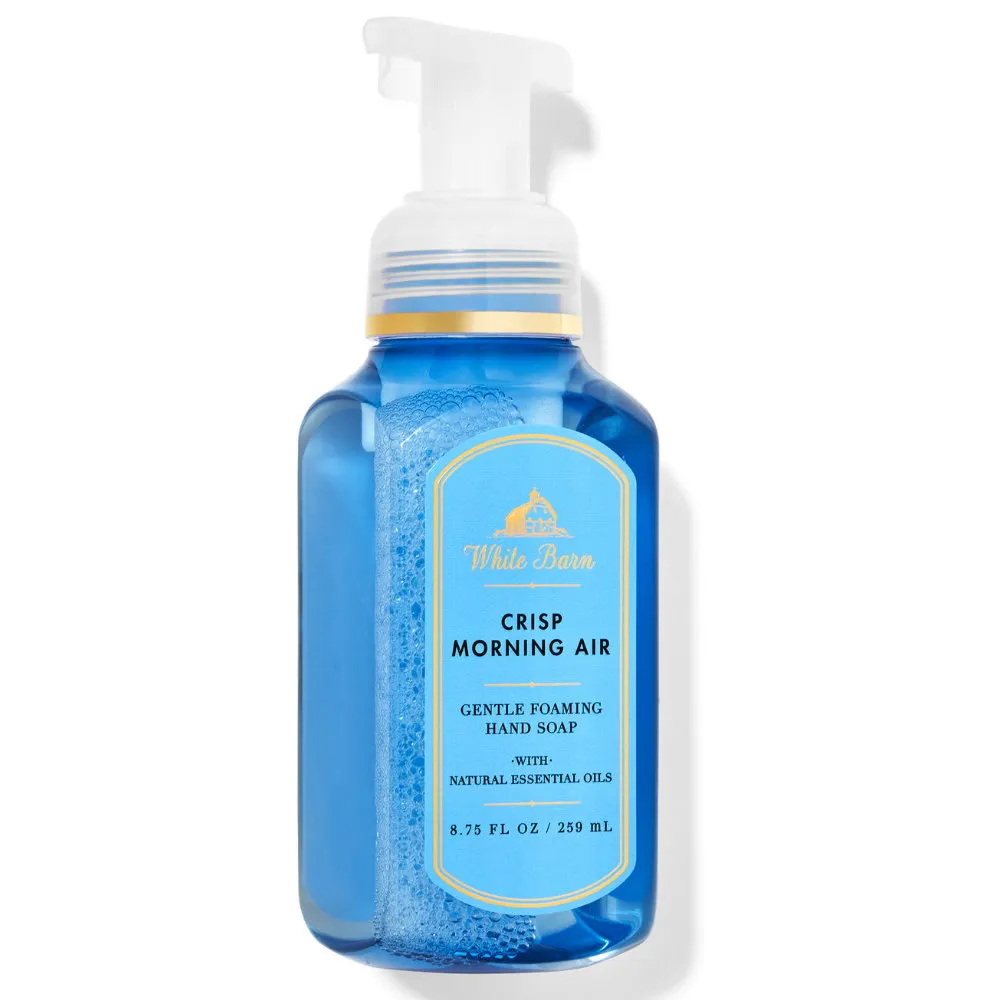 《Bath & Body Works BBW 》泡沫慕斯洗手液【清水綠洲】Freshwater Oasis 259ml 歷史價格詳細信息