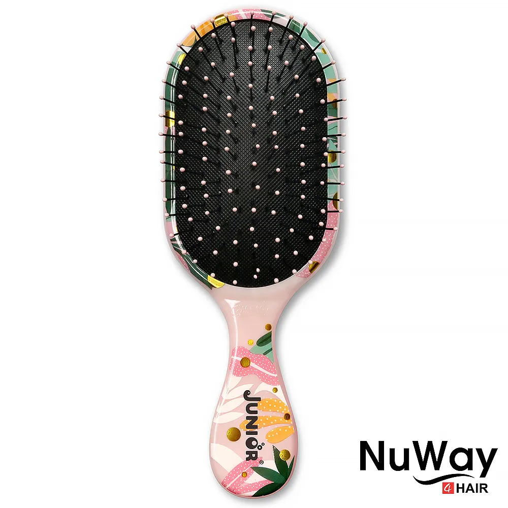 【施魔梳】巧妝款專業梳NWJ-PHJ(叢林饗宴) 歷史價格詳細信息