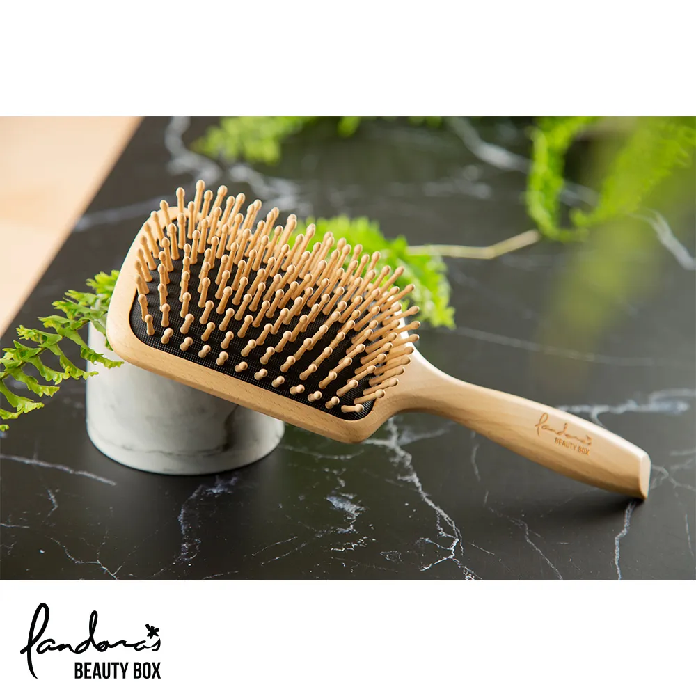 Pandora’s Beauty Box 櫸木氣墊豬鬃梳 (小) 歷史價格詳細信息