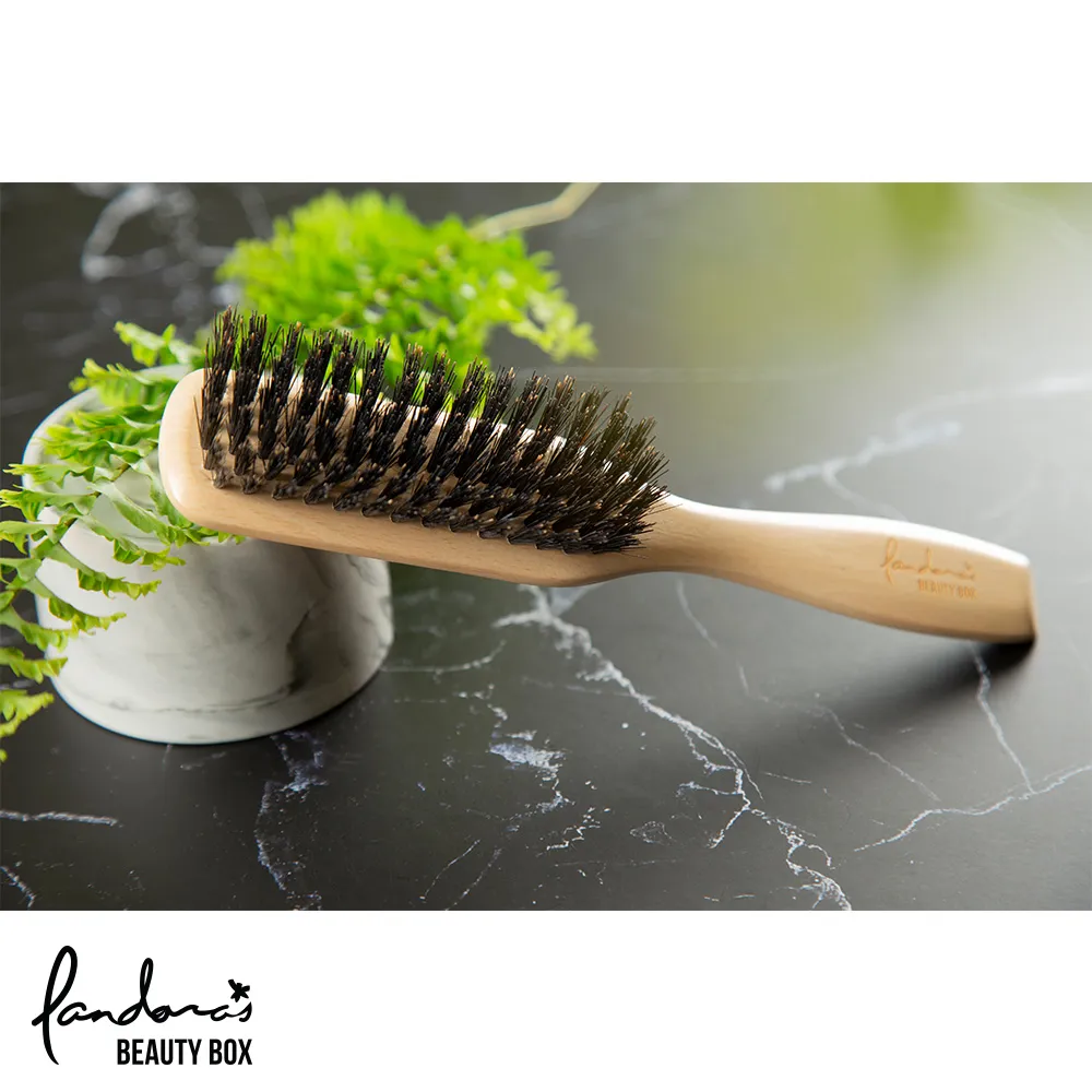 Pandora’s Beauty Box 櫸木氣墊豬鬃梳 (小) 歷史價格詳細信息